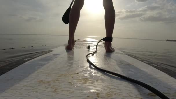 Чоловік Стоїть Дошці Пливе Сонце Водні Види Спорту — стокове відео