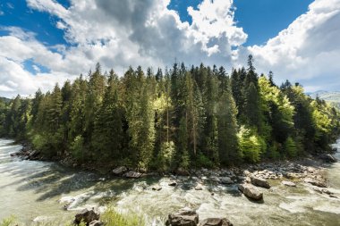 Ukrayna 'nın Karpatya bölgesindeki Yaremche yakınlarında hızla akan Prut nehrinin manzarası. Ukrayna 'da seyahat yerleri ve doğa beldeleri