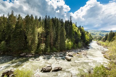 Ukrayna 'nın Karpatya bölgesindeki Yaremche yakınlarında hızla akan Prut nehrinin manzarası. Ukrayna 'da seyahat yerleri ve doğa beldeleri