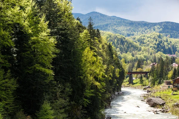 Natursköna Våren Syn Snabbt Flödande Prut Floden Nära Jaremche Karpaterna — Stockfoto