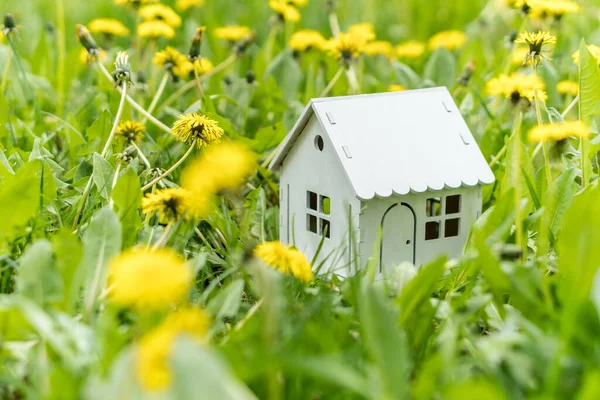 Model White Wooden House Dandelions Green Grass Lawn Eco House — Fotografia de Stock