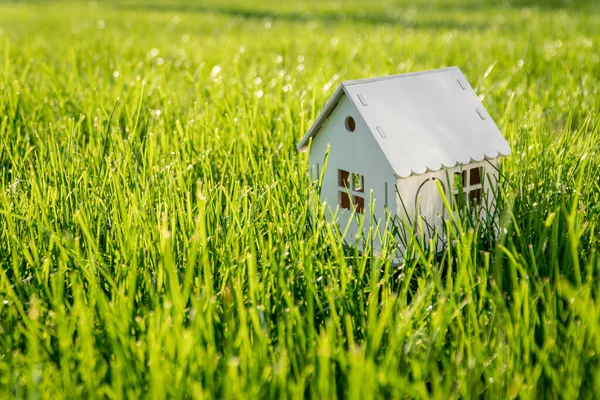 Modell Eines Weißen Holzhauses Auf Einer Grünen Rasenfläche Ökohaus Entwicklungskonzept — Stockfoto
