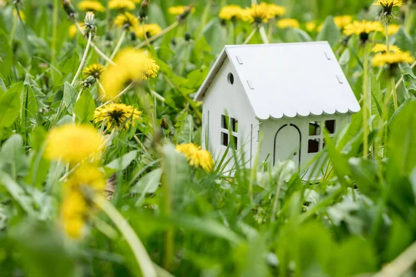 Model White Wooden House Dandelions Green Grass Lawn Eco House — Stockfoto