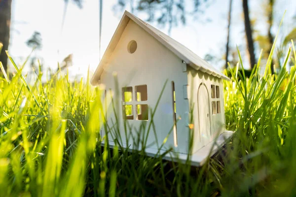 Model White Wooden House Green Grass Lawn Eco House Development — стоковое фото