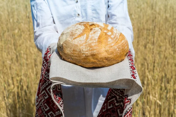 在一片蓝色的夏日天空中 在麦田里 女性的手高高地捧着自家烘烤的面包面包 招待费和食品供应概念 — 图库照片