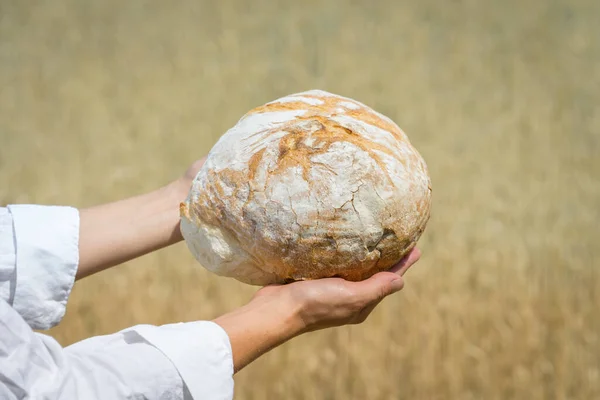 Female Hands Holding Home Baked Bread Loaf Ripe Wheat Field — Foto Stock