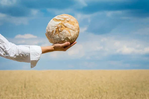 在一片蓝蓝的夏日的天空中 女人们手牵着自家烤的面包在麦田里 世界粮食安全概念 — 图库照片