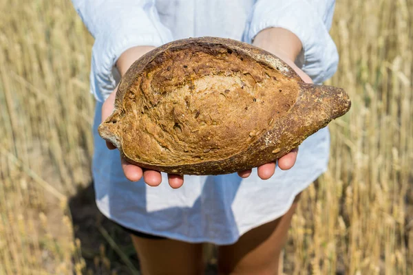 在成熟的麦田上方 女性手捧着烘烤的面包面包 世界粮食安全概念 — 图库照片