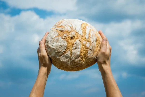 Female Hands Holding Home Baked Bread Loaf Her Head Blue — Stockfoto