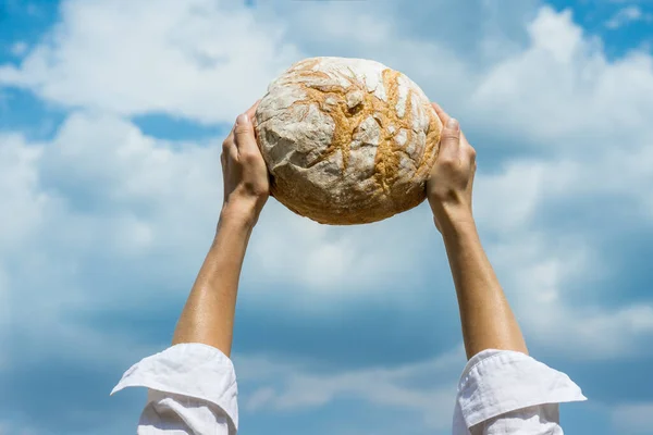 Female Hands Holding Home Baked Bread Loaf Her Head Blue — Stockfoto