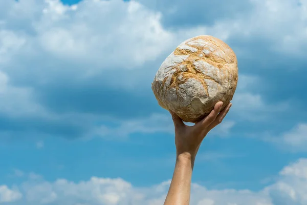 Female Hands Holding Home Baked Bread Loaf Her Head Blue — Stock fotografie