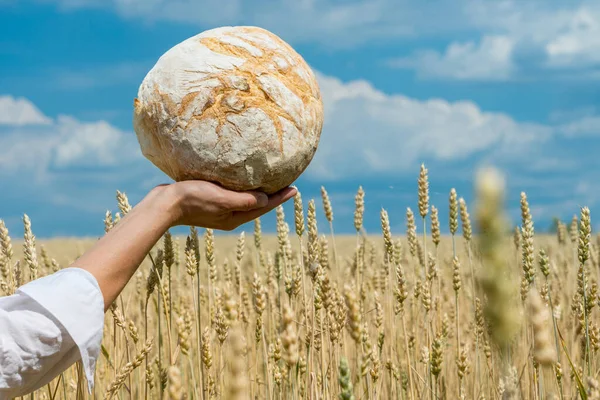 在成熟的麦田上方 女性手捧着烘烤的面包面包 世界粮食安全概念 — 图库照片