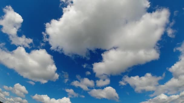 Time Lapse Βίντεο Λευκά Χνουδωτά Σύννεφα Που Κινούνται Πάνω Από — Αρχείο Βίντεο