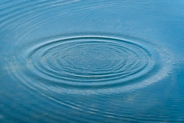 Circles on a water surface after the splash. Nature backgrounds concept