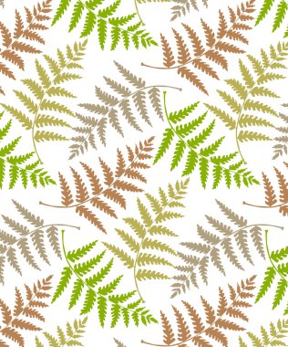 yaprakları sorunsuz