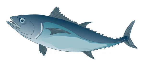 Blauer Thunfisch — Stockvektor
