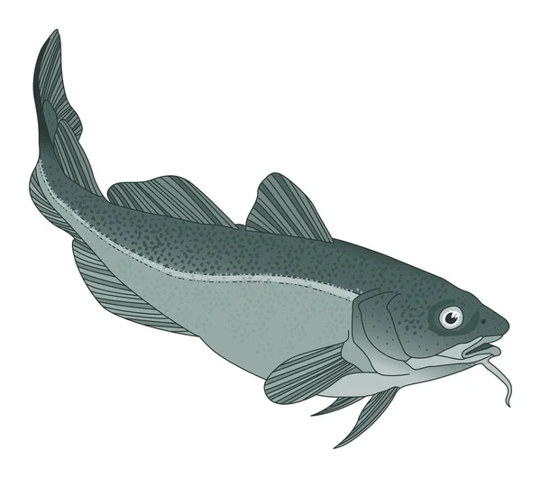 Bacalao — Vector de stock