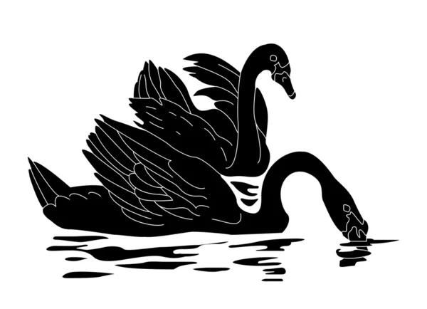 黑天鹅 — 图库矢量图片