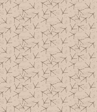 kuşlar pençe izleri