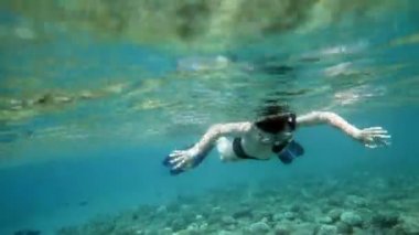 Snorkeler beyin mercanı boyunca dalıyor