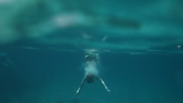 Mergulho de snorkeler ao longo do coral cerebral — Vídeo de Stock