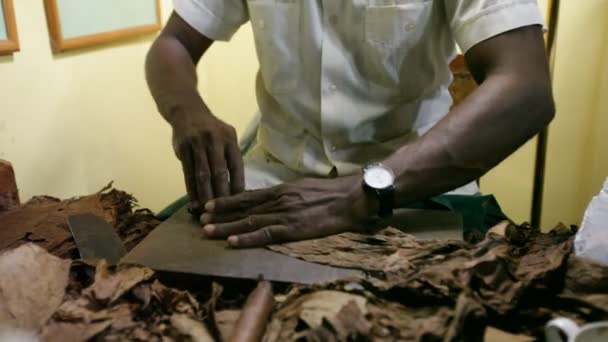 Την κατασκευή πούρων σε βιοτεχνίες. Κούβα. — Αρχείο Βίντεο