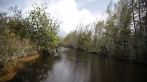 Volar sobre el río — Vídeo de stock