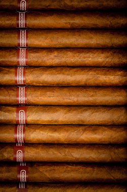 arka plan puro humidor içinde