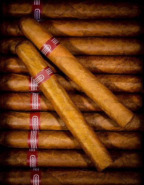 Background cigars in humidor — Stock Photo, Image