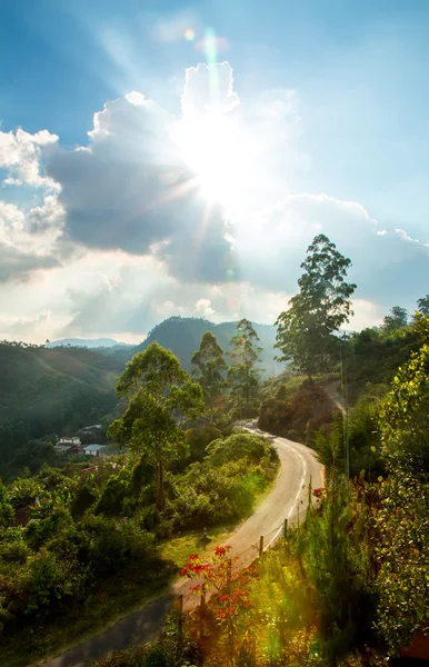 Mountains landscape and road — Stock Photo, Image