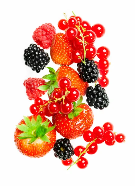 Berry. — Fotografia de Stock