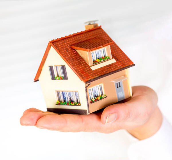 house in human hands