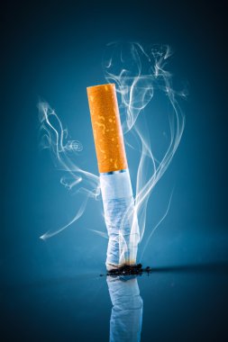 Cigarette butt - No smoking. clipart