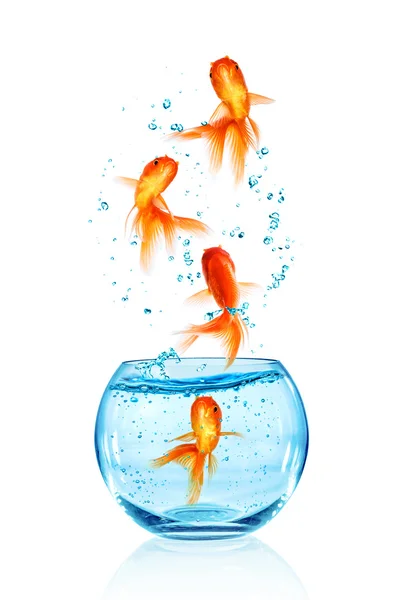 Goldfish jumping. — Stock Photo, Image