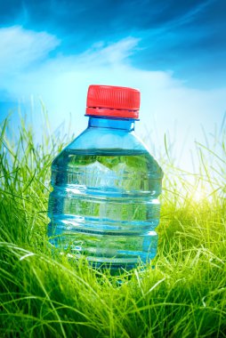 su şişesi çim