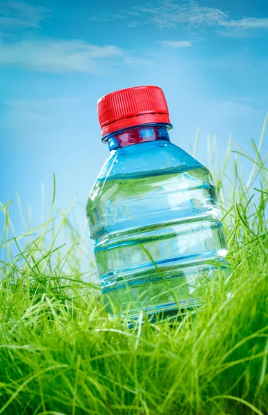 Water bottle on the grass — Stock Photo, Image