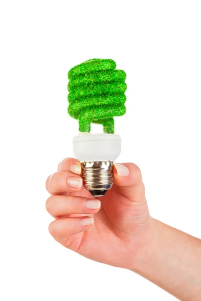 Koncepció eco lámpa — Stock Fotó