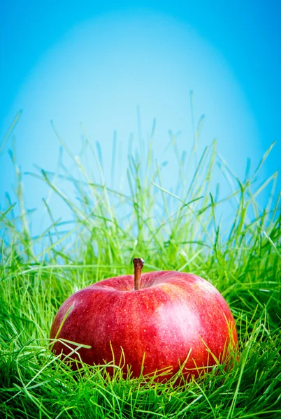 Apple on the grass — Stock Photo, Image