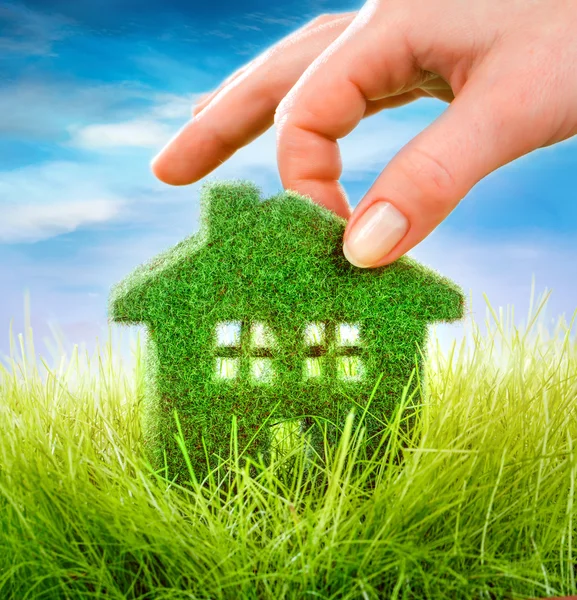 House on the green grass — Stock Photo, Image
