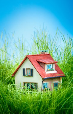 küçük ev yeşil çimen