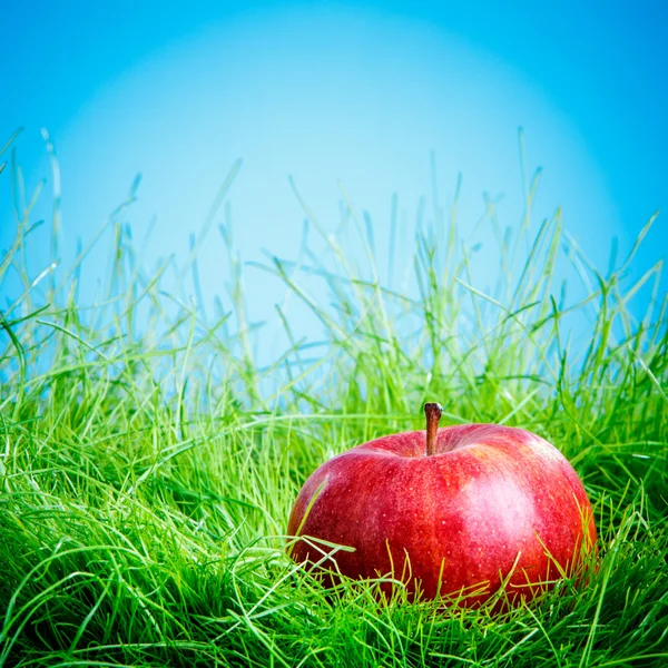 Apfel auf dem Gras — Stockfoto