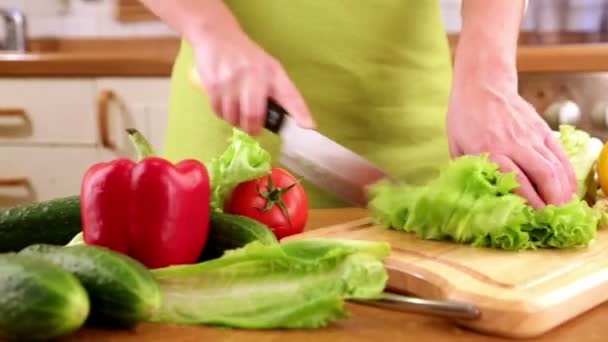 Mains de femme coupant des légumes — Video