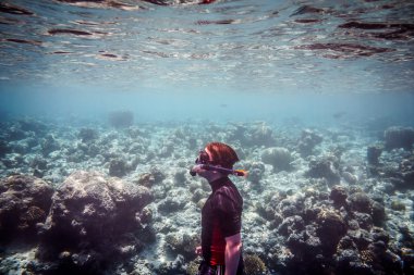 Snorkeler