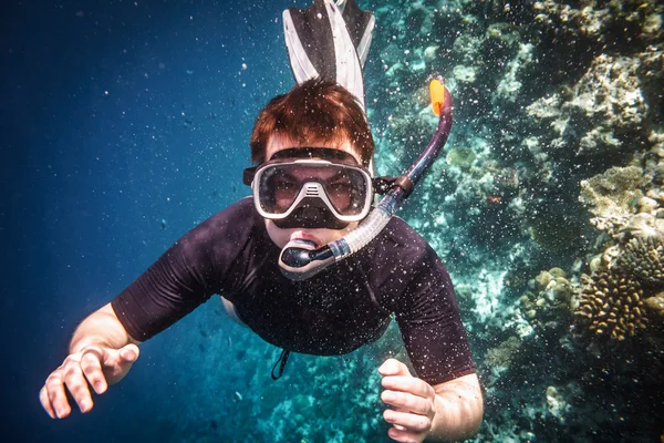 Snorkeler — Foto Stock