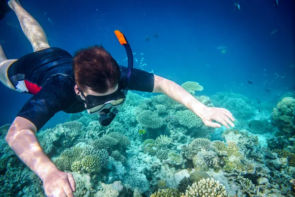 Snorkeler — Stok fotoğraf