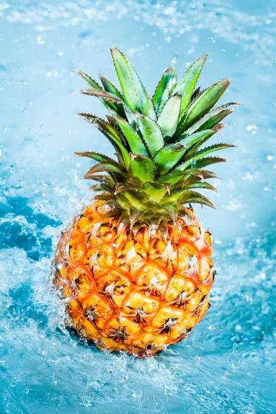 Färsk ananas — Stockfoto