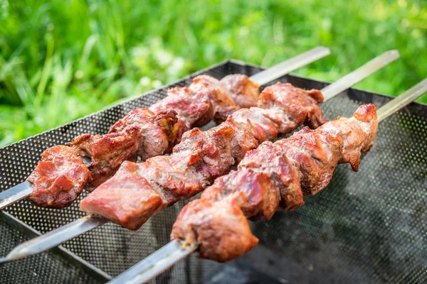 Kebab on metal skewers — Stock Photo, Image