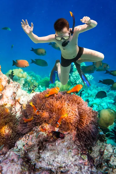 Snorkeler Maldives Indian Ocean coral reef. — Stock Photo, Image