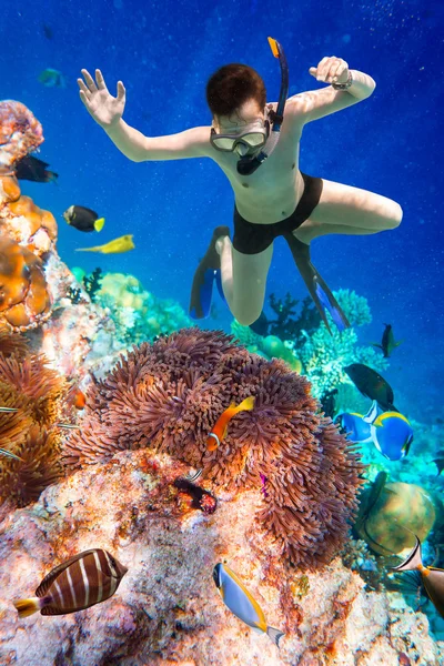 Snorkeler Maldivas Recife de coral do Oceano Índico . — Fotografia de Stock