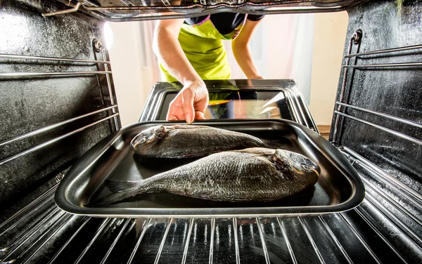 Готовим рыбу дорадо в духовке . — стоковое фото